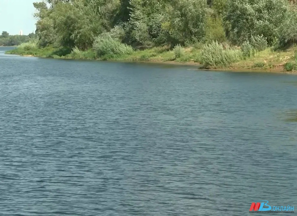 Под Волгоградом 61-летний мужчина утонул при спасении своих внуков